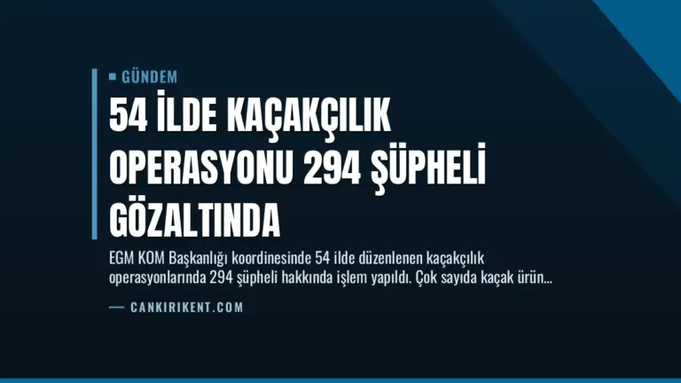 54 İlde Kaçakçılık Operasyonu 294 Şüpheli Gözaltında