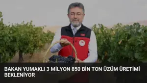 Bakan Yumaklı 3 Milyon 850 Bin Ton Üzüm Üretimi Bekleniyor