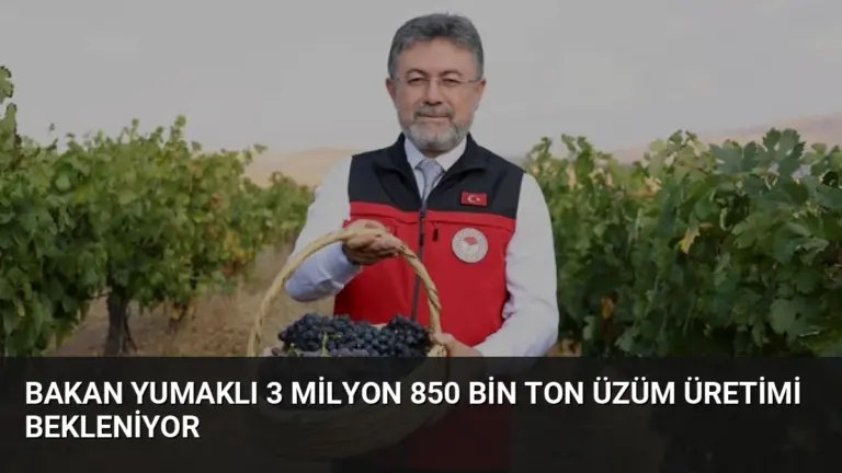 Bakan Yumaklı 3 Milyon 850 Bin Ton Üzüm Üretimi Bekleniyor