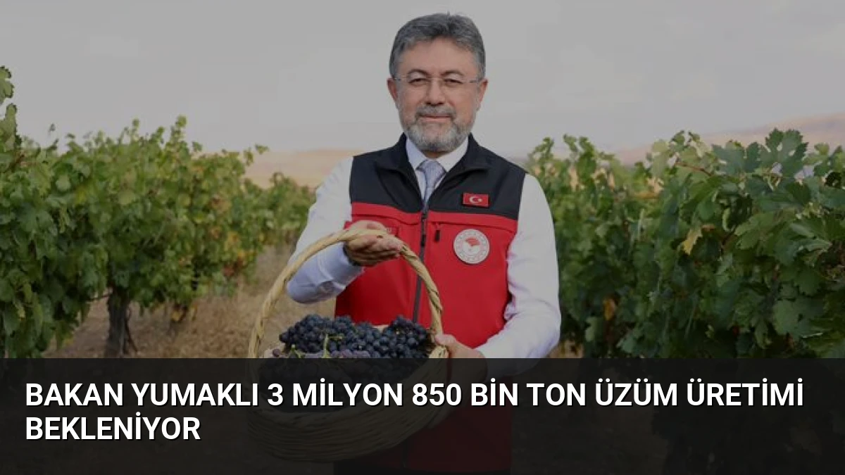 Bakan Yumaklı 3 Milyon 850 Bin Ton Üzüm Üretimi Bekleniyor