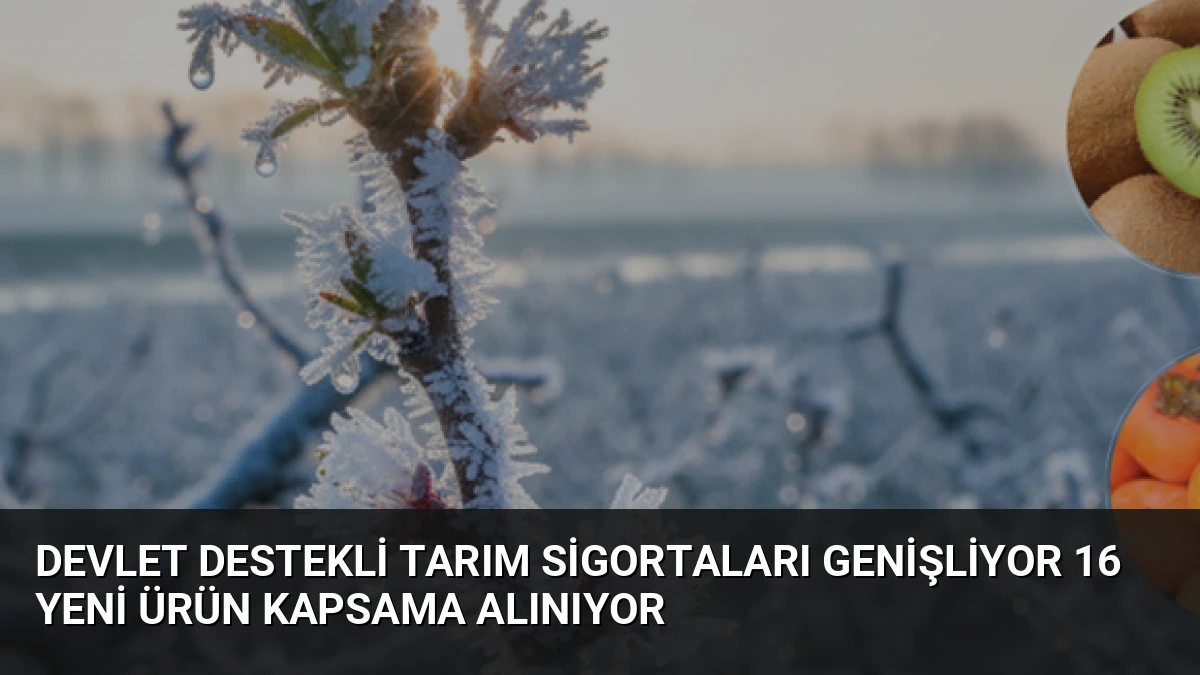 Devlet Destekli Tarım Sigortaları Genişliyor 16 Yeni Ürün Kapsama Alınıyor