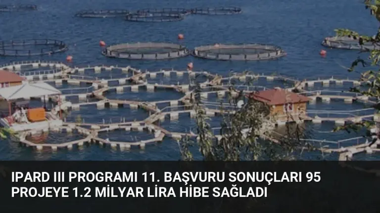 IPARD III Programı 11. Başvuru Sonuçları 95 Projeye 1.2 Milyar Lira Hibe Sağladı