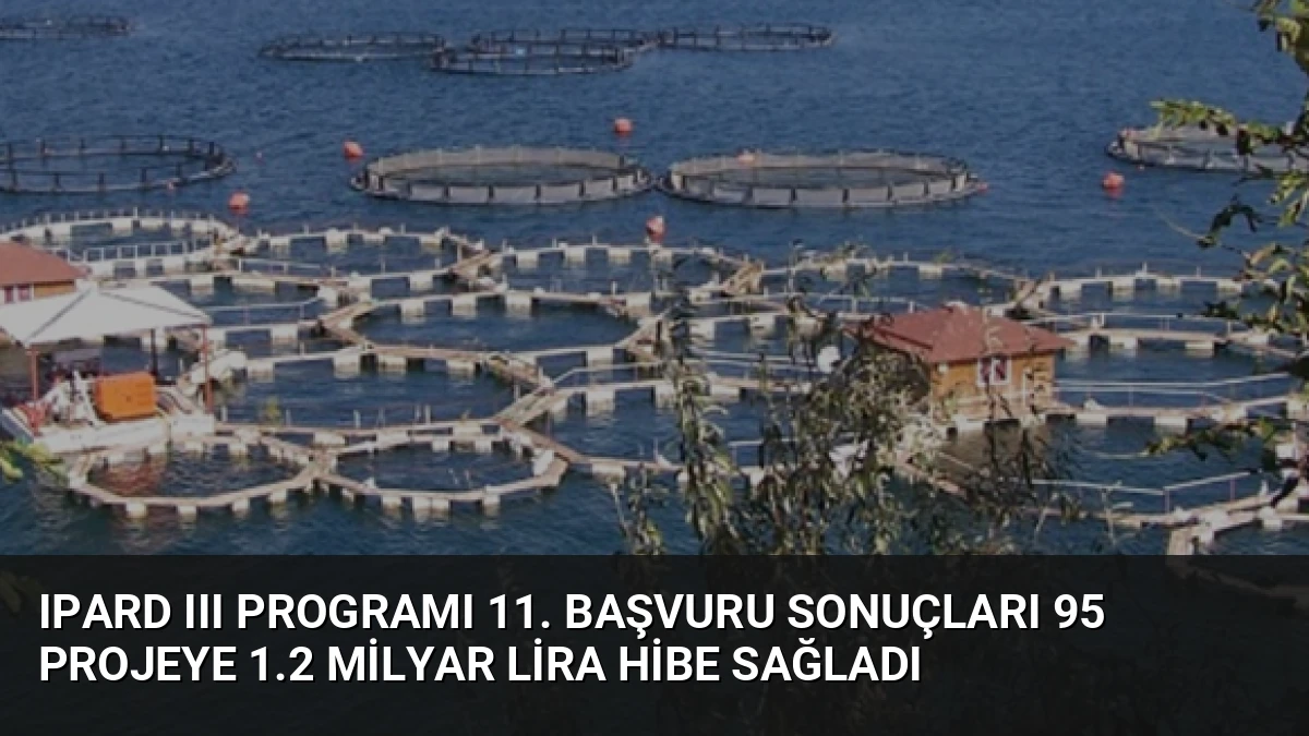 IPARD III Programı 11. Başvuru Sonuçları 95 Projeye 1.2 Milyar Lira Hibe Sağladı