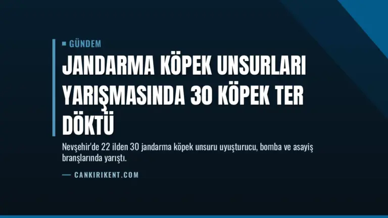 Jandarma Köpek Unsurları Yarışmasında 30 Köpek Ter Döktü