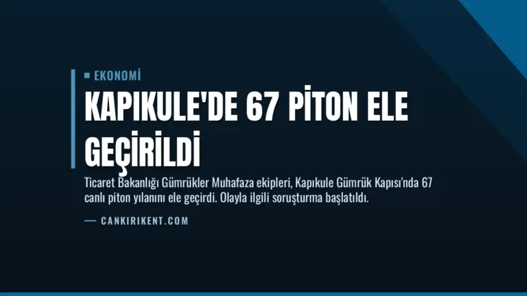 Kapıkule’de 67 Piton Ele Geçirildi